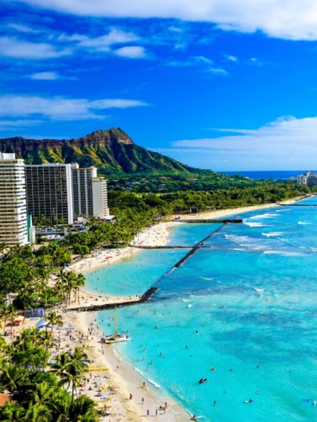 Ocean Views vs. City Views: Choosing the Perfect Kakaako Condo Orientation in 2025