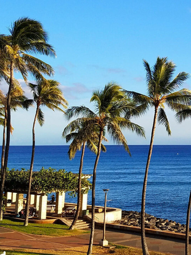 Kakaako Living 2025: From Luxury Condos to Beach Paradise in 3 Minutes