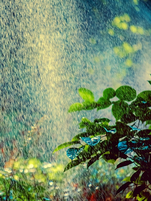 Green Living in Kakaako: Your Guide to Sustainable Luxury Homes