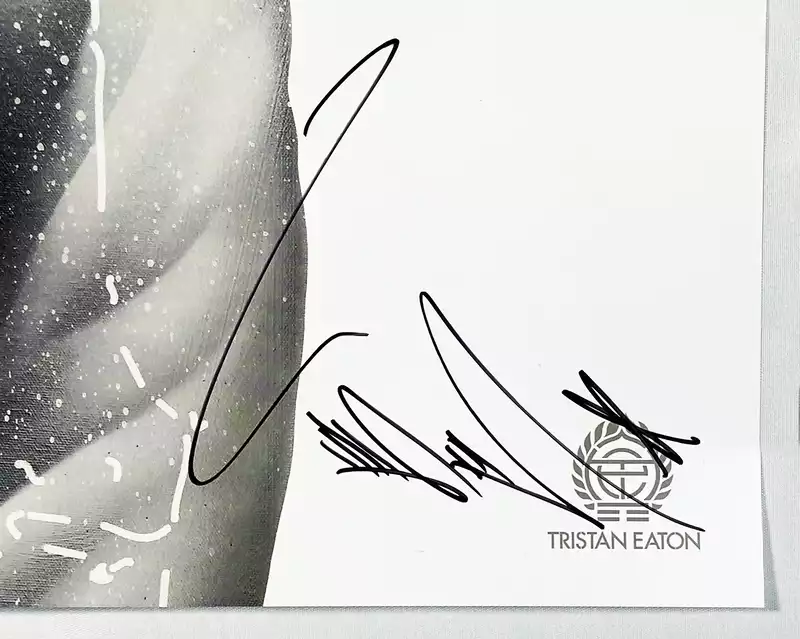 Tristan Eaton's Signature Style