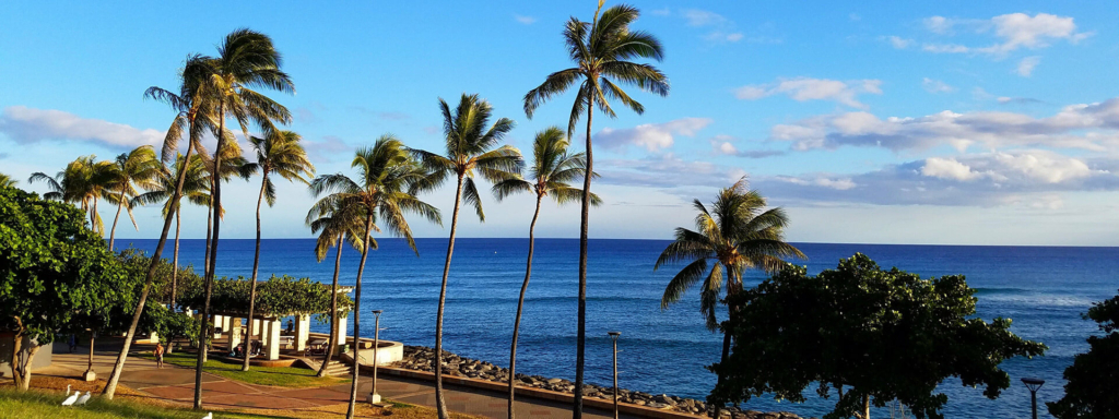 Kakaako to Beach in Minutes