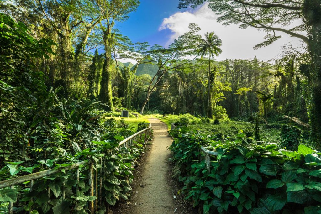 manoa trail